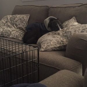 Meet your Posher, Jesica